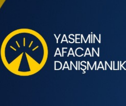 Gebze’de 1.–8. Sınıf Öğrencilerine Özel Birebir Ders Desteği ! ( Yasemin Afacan Danışmanlık )